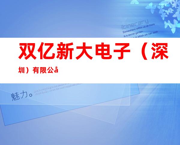 双亿新大电子（深圳）有限公司